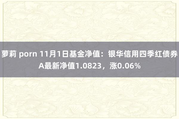 萝莉 porn 11月1日基金净值：银华信用四季红债券A最新净值1.0823，涨0.06%