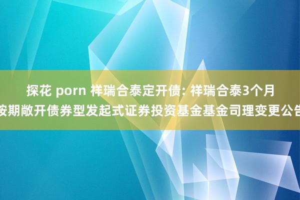 探花 porn 祥瑞合泰定开债: 祥瑞合泰3个月按期敞开债券型发起式证券投资基金基金司理变更公告