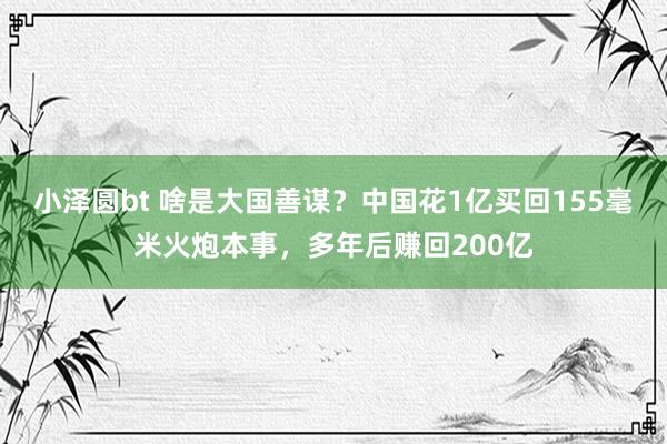 小泽圆bt 啥是大国善谋？中国花1亿买回155毫米火炮本事，多年后赚回200亿