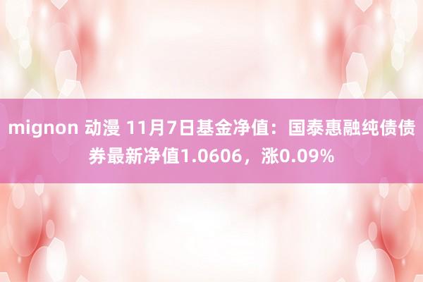 mignon 动漫 11月7日基金净值：国泰惠融纯债债券最新净值1.0606，涨0.09%