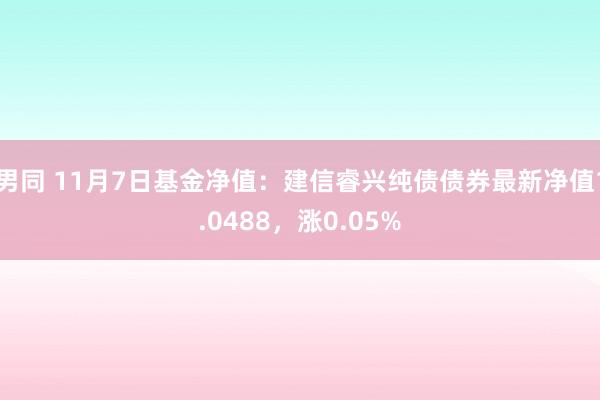 男同 11月7日基金净值：建信睿兴纯债债券最新净值1.0488，涨0.05%