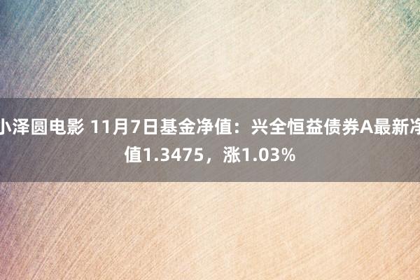 小泽圆电影 11月7日基金净值：兴全恒益债券A最新净值1.3475，涨1.03%