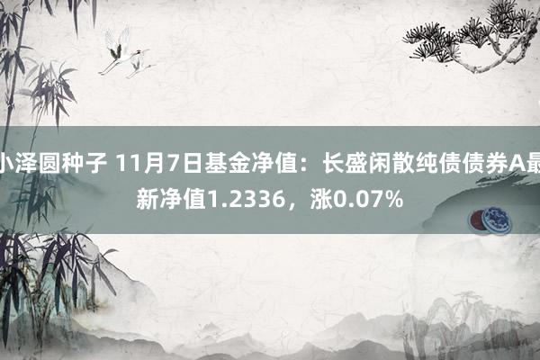 小泽圆种子 11月7日基金净值：长盛闲散纯债债券A最新净值1.2336，涨0.07%