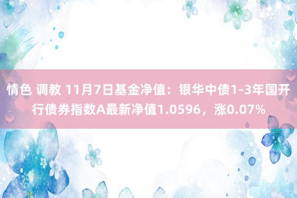 情色 调教 11月7日基金净值：银华中债1-3年国开行债券指数A最新净值1.0596，涨0.07%